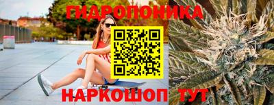 прущие крисы Ярославль